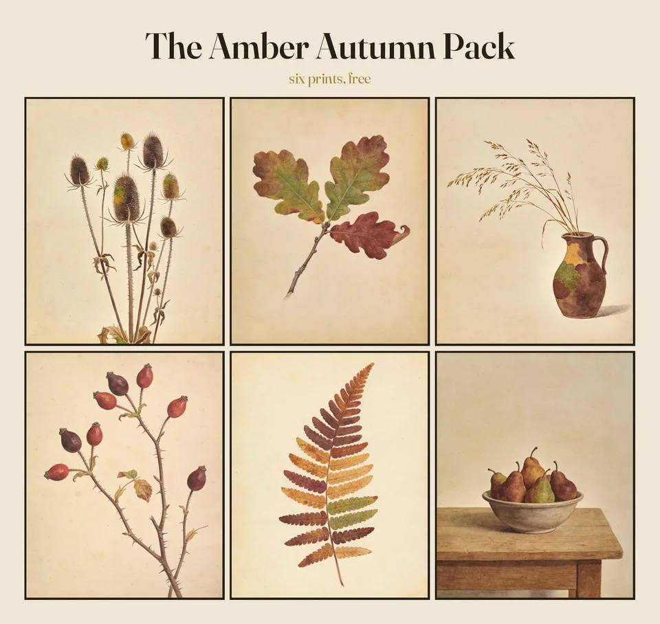 All six amber autumn prints shown together — papery seed heads, a turning oak branch, bronze grasses in a jug, rosehips on the bare stem, a fern gone to rust and ochre, and russet pears in a plain bowl