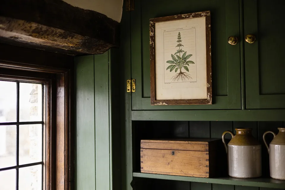 A hand-colored botanical plate of sage, root to flower, hanging in a narrow worn oak frame on a green pantry wall, a plain dovetailed pine box and stoneware jugs on the shelf below